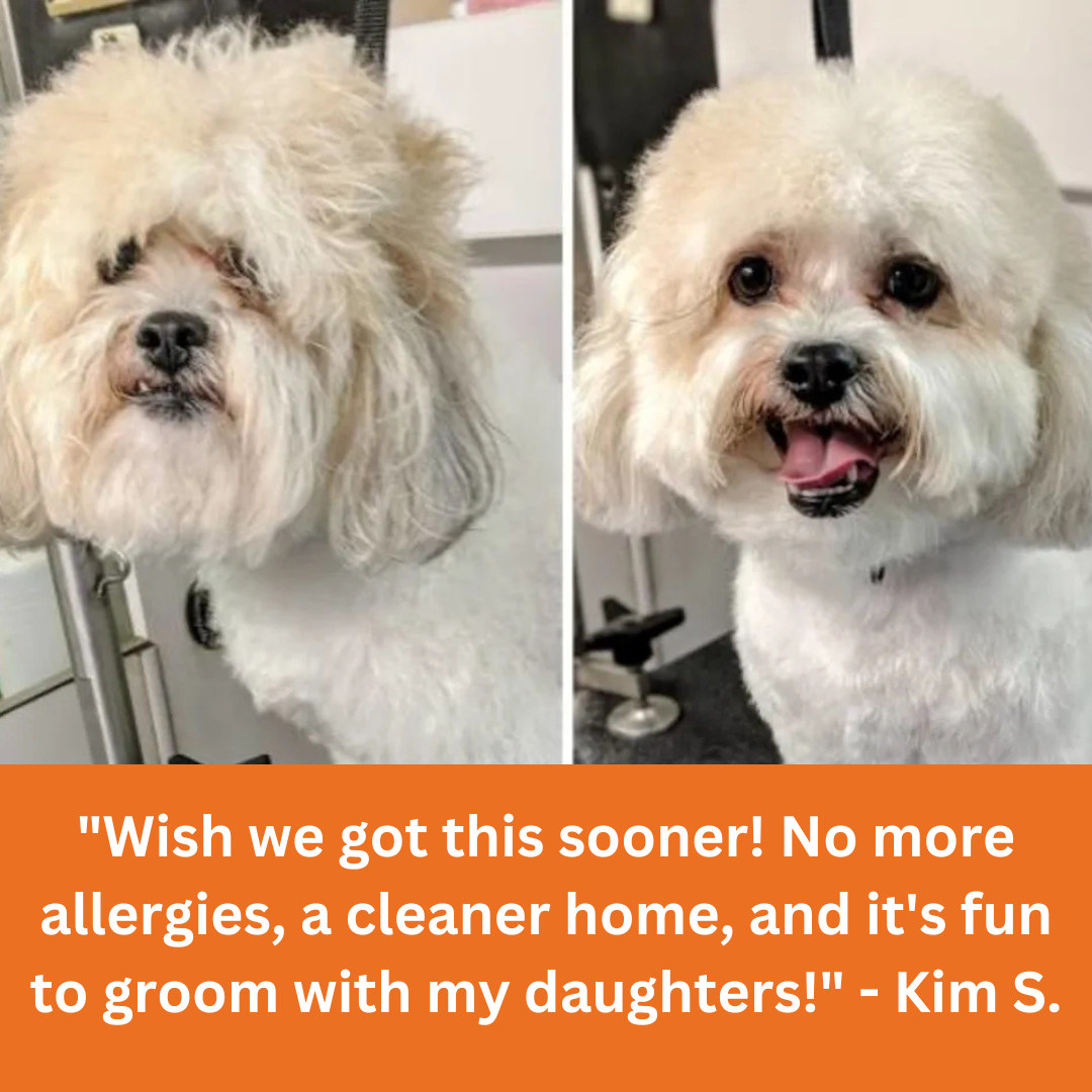 PawVac Grooming Kit