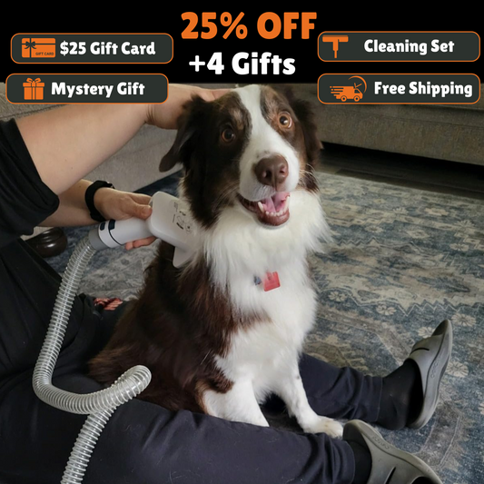 PawVac Grooming Kit