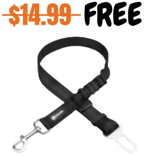 Dog Seat Belt